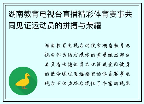 湖南教育电视台直播精彩体育赛事共同见证运动员的拼搏与荣耀